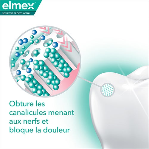 Obture les canalicules menant aux nerfs et bloque la douleur