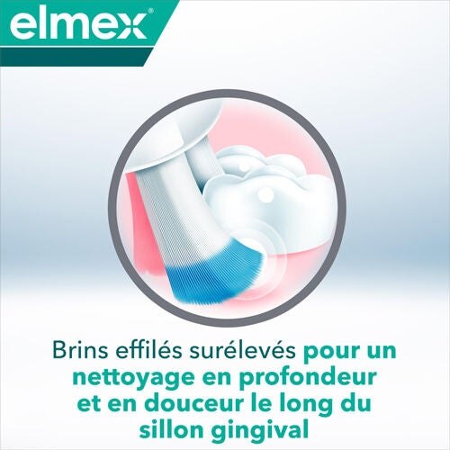 Brins effilés surélevés pour un nettoyage en profondeur et en douceur le long du silon gingival